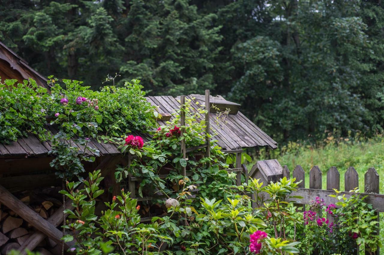 Bed & Breakfast Gospoda Polska Kolibecka *